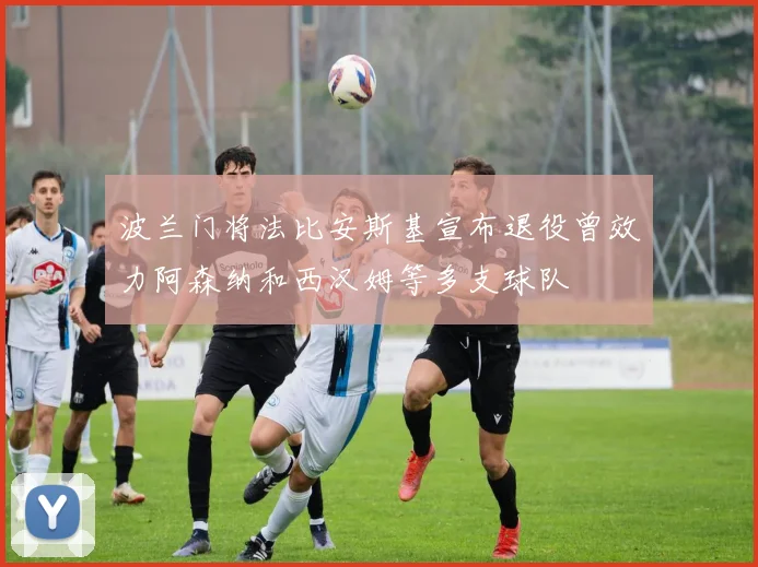 波兰门将法比安斯基宣布退役曾效力阿森纳和西汉姆等多支球队